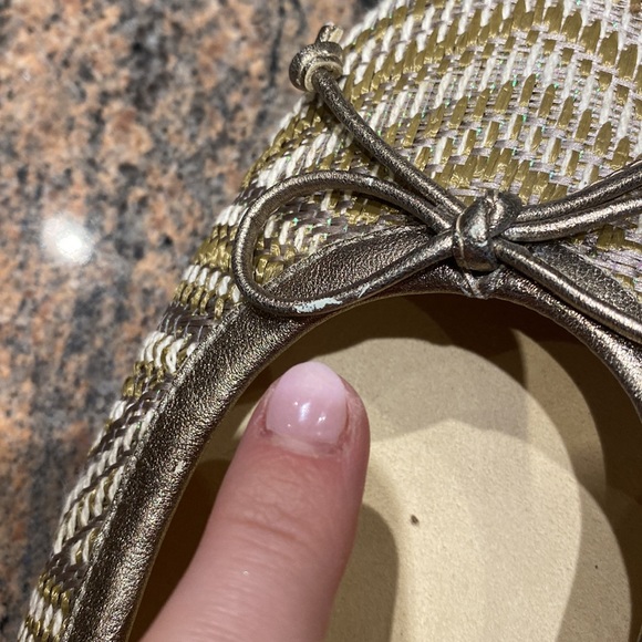 Stuart Weitzman Flats - Picture 10 of 14